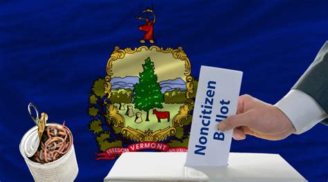 Vermont’s largest city votes to allow noncitizen voting